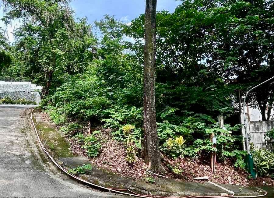 Don Celso Tuason Avenue, Town & Country Estates, Mambugan, Antipolo, Rizal image 2