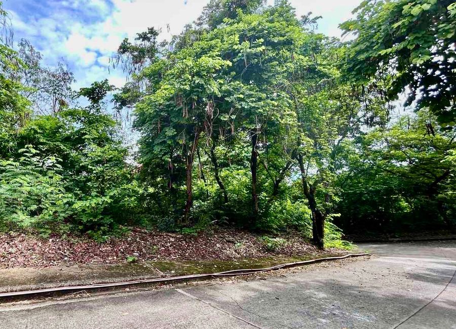 Don Celso Tuason Avenue, Town & Country Estates, Mambugan, Antipolo, Rizal image 3