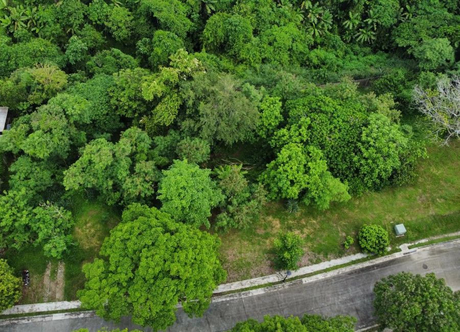 South Boulevard, Ayala Westgrove Heights, Inchican, Silang, Cavite