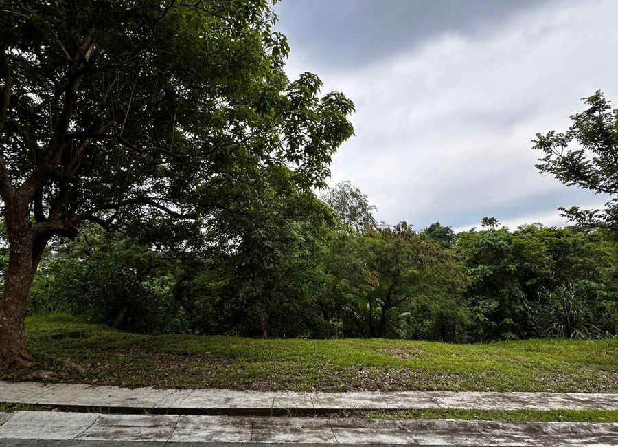 South Boulevard, Ayala Westgrove Heights, Inchican, Silang, Cavite image 2