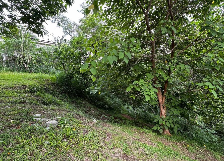 South Boulevard, Ayala Westgrove Heights, Inchican, Silang, Cavite image 3