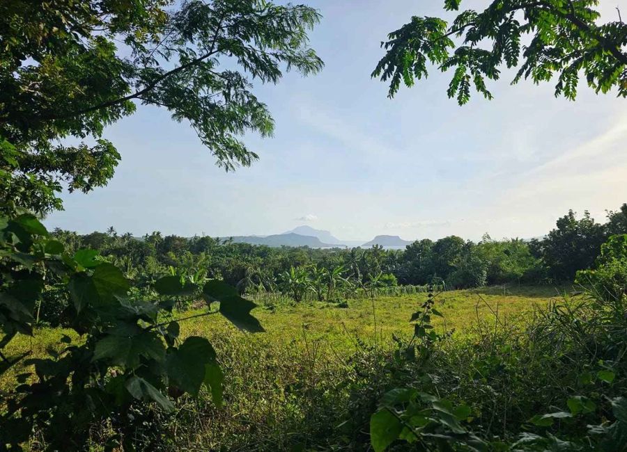 Bañadero, Tanauan, Batangas