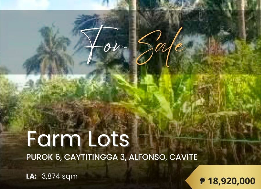 Kaytitinga-Magallanes Road, Purok 1, Kaytitinga I, Alfonso, Cavite