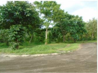 For Sale: Lot Area in Promenade Subdivision