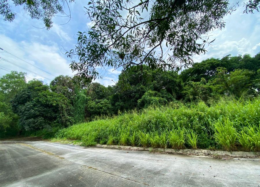 Parkridge Drive, Park Ridge, Santa Cruz, Antipolo, Rizal image 2