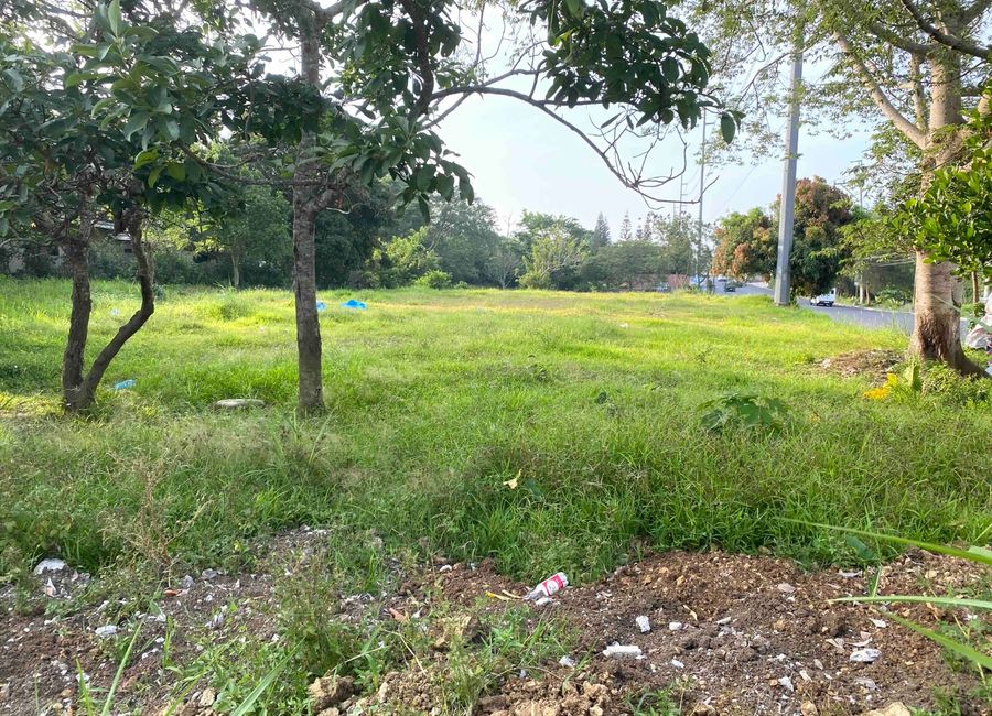 La Excelsa Country Homes, Loma, Amadeo, Cavite
