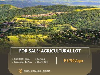 For Sale: Agricultural lot located at Burol Calamba, Laguna