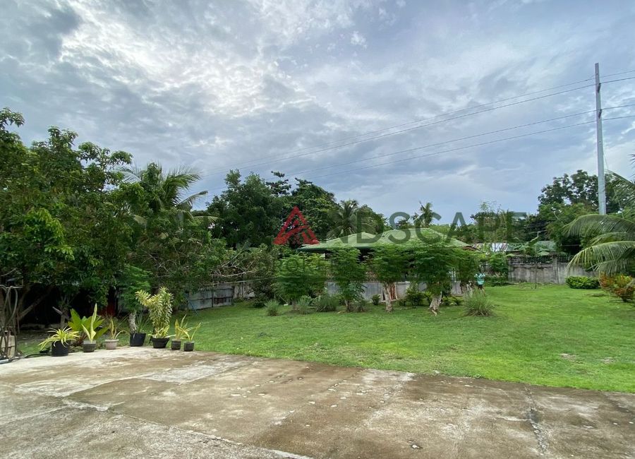 place photo 39