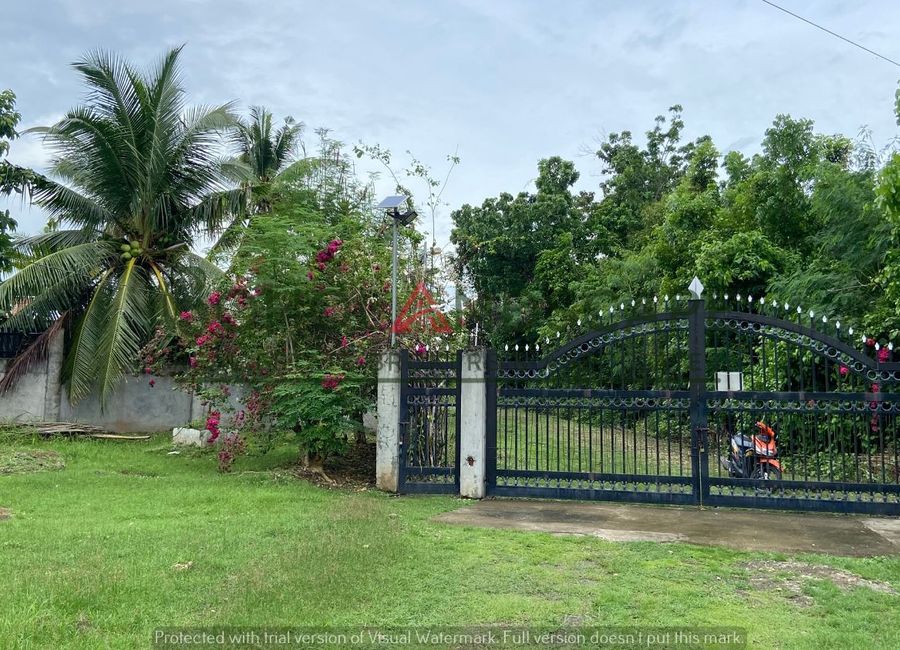place photo 35