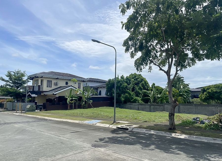 Clubhouse Drive, Inchican, Silang, Cavite image 2
