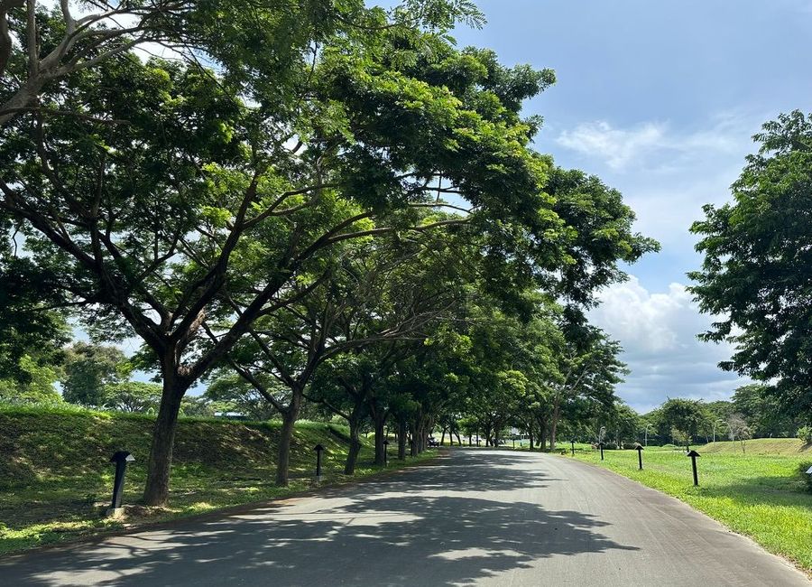 Ciudad Grande, Ibaba, Santa Rosa, Laguna image 3