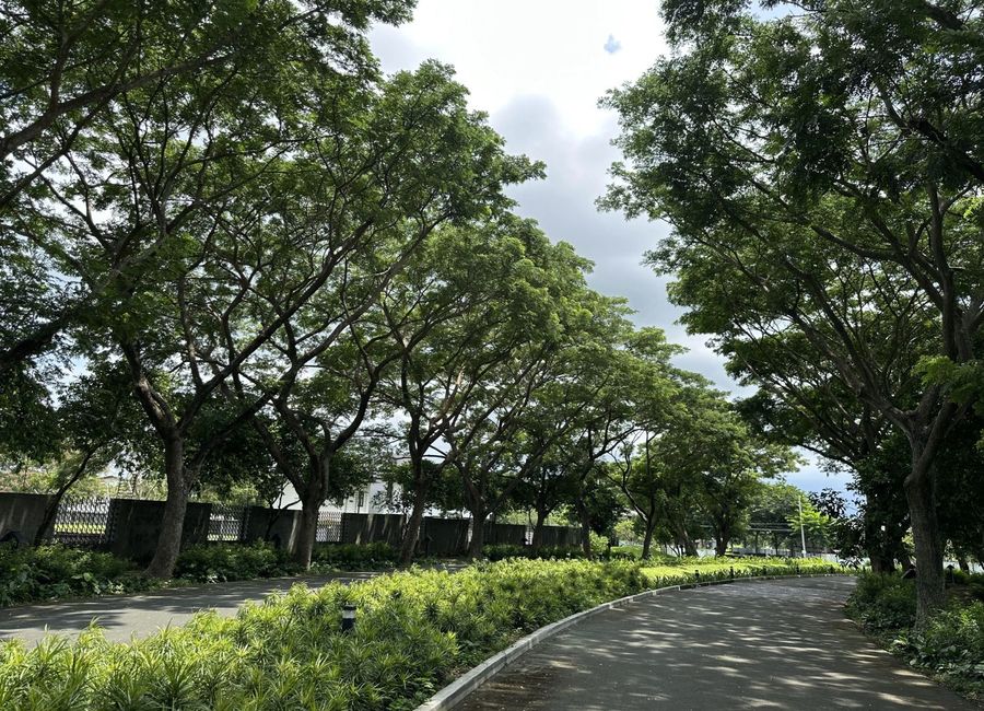 Ecology Avenue, Elaro Nuvali, Canlubang, Calamba, Laguna