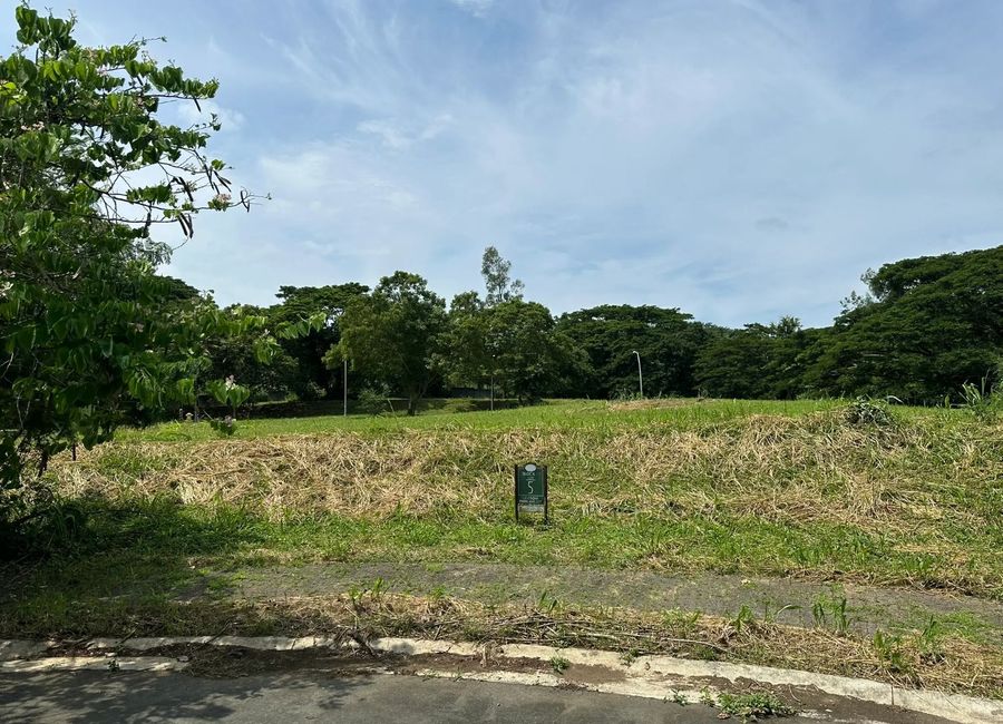 Ecology Avenue, Elaro Nuvali, Canlubang, Calamba, Laguna image 2