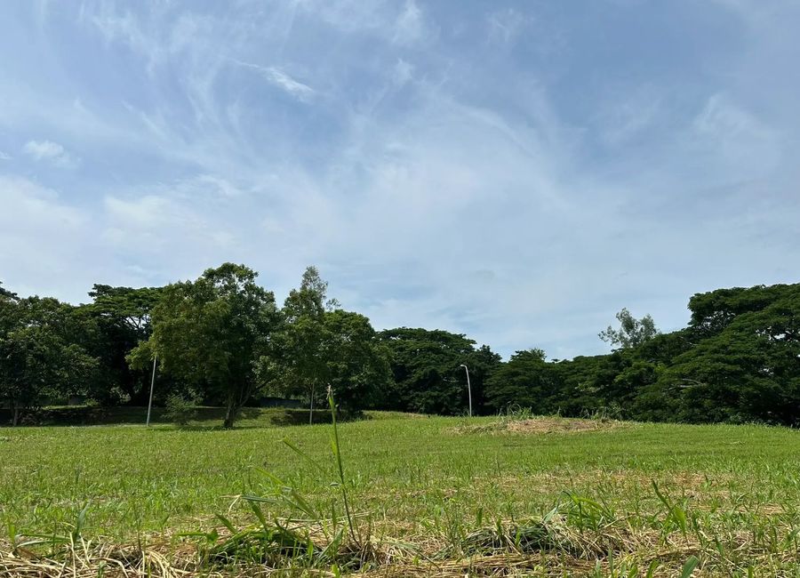 Ecology Avenue, Elaro Nuvali, Canlubang, Calamba, Laguna image 3