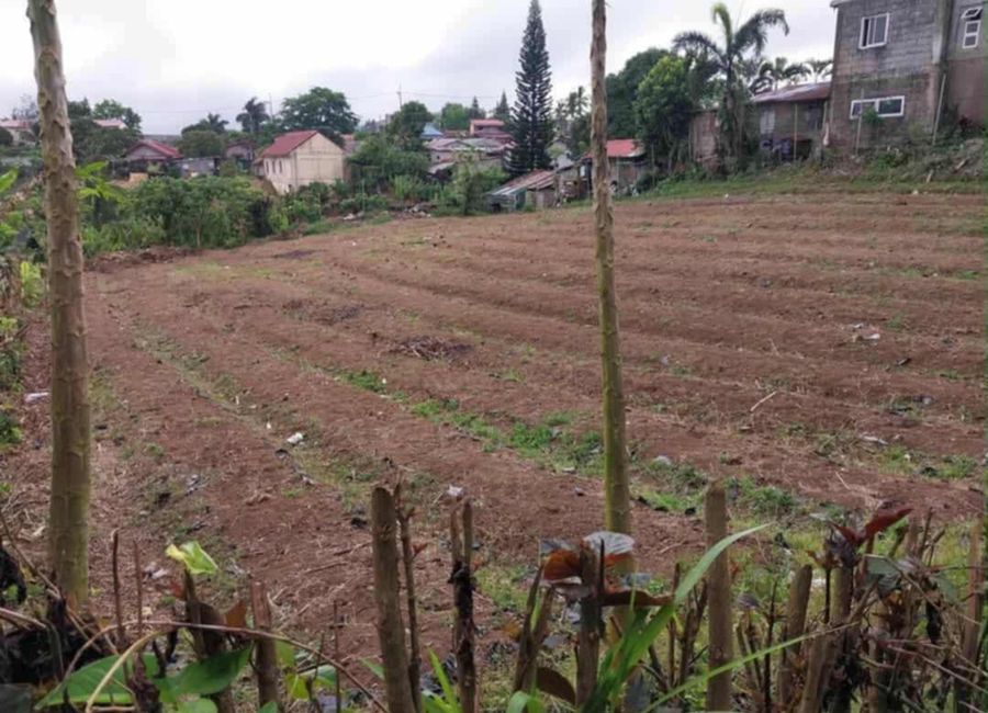 Sungay West, Tagaytay, Cavite image 3