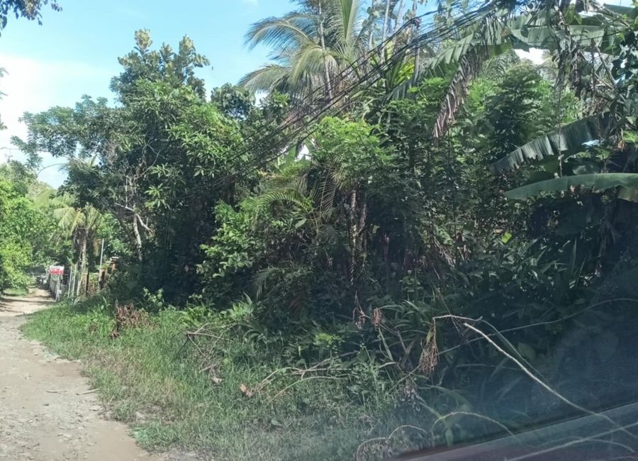 Malabag, Silang, Cavite image 3