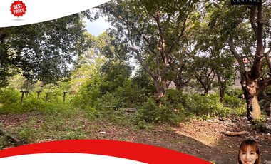 1.1 hectare prime lot in Munting Tubig, Balayan, Batangas near Nasugbu Balayan Provincial Road