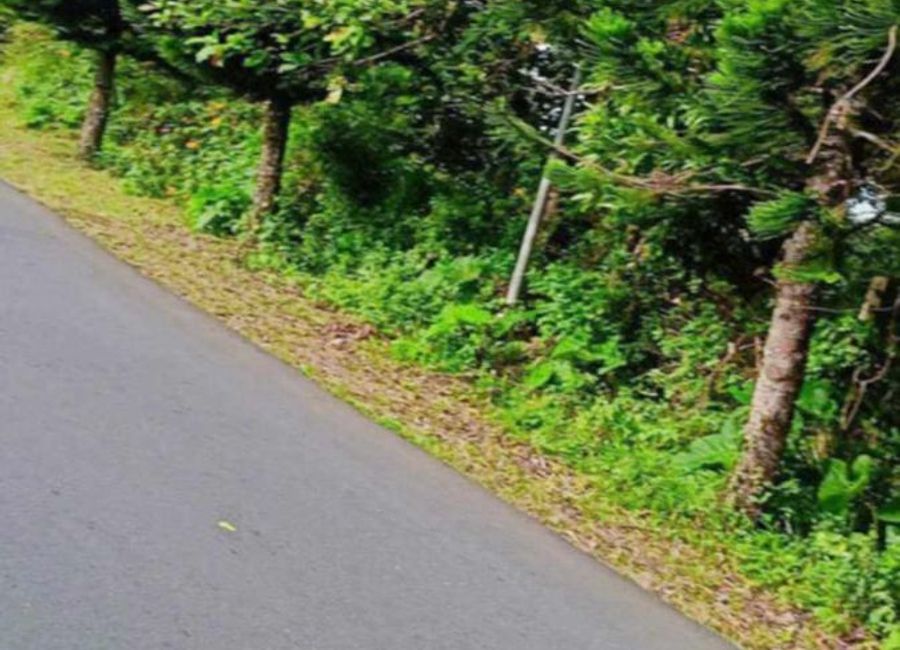 Asisan, Tagaytay, Cavite
