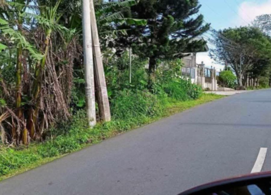Asisan, Tagaytay, Cavite image 2