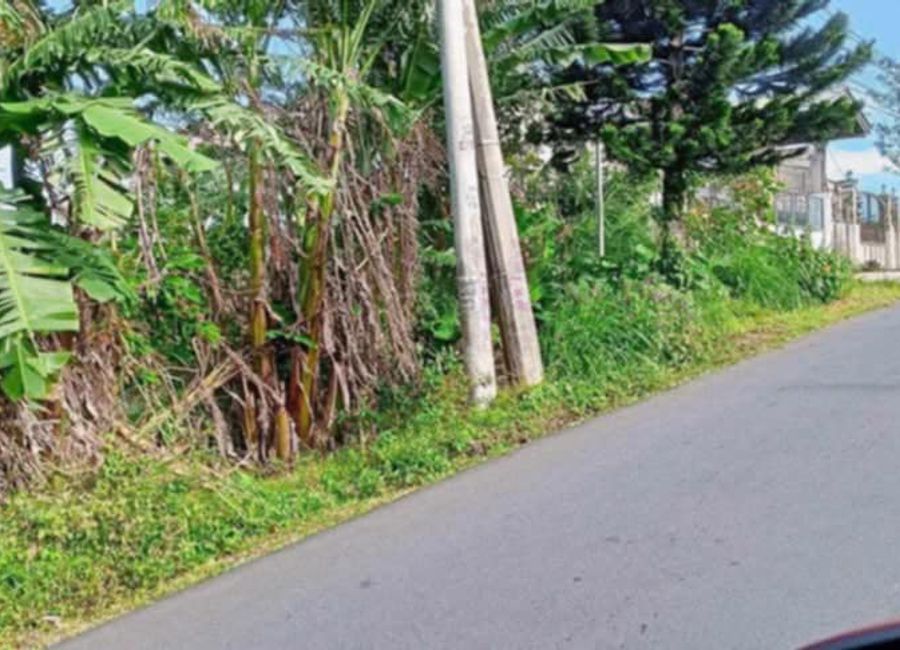 Asisan, Tagaytay, Cavite image 3