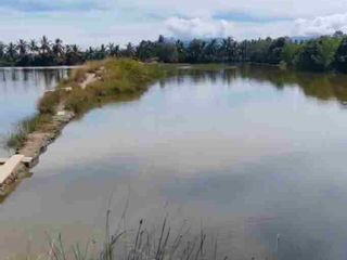 Fishpond for Sale