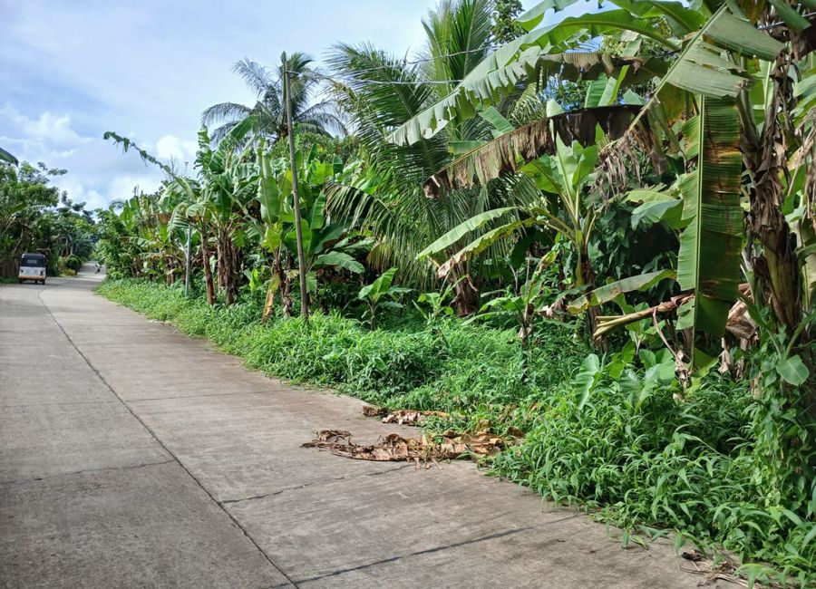 Panungyan Road, Asis I, Panungyan II, Mendez, Cavite