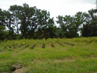 For Sale: Lot Area in Promenade Subdivision