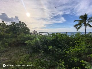Camotes Island Beach Lot 1559sqm 25m frontage Sonog San Francisco
