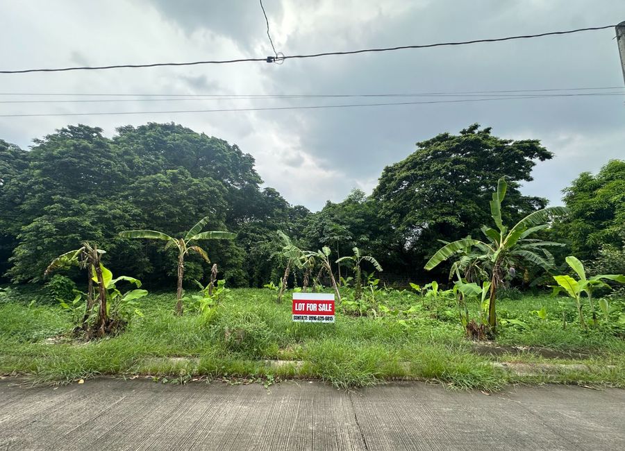 Aranjuez Street, Villa de Toledo, Santa Rosa, Laguna