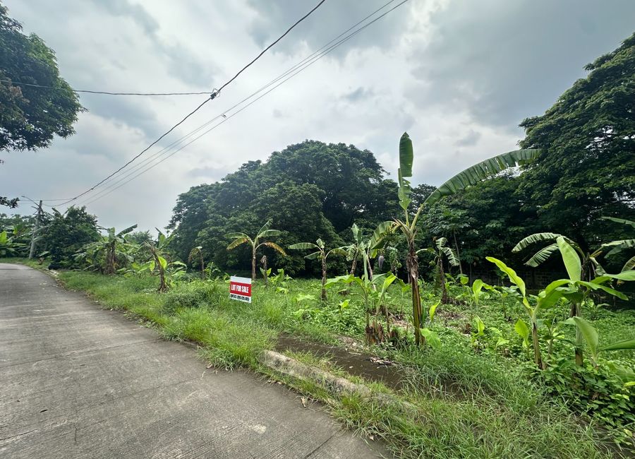 Aranjuez Street, Villa de Toledo, Santa Rosa, Laguna image 3