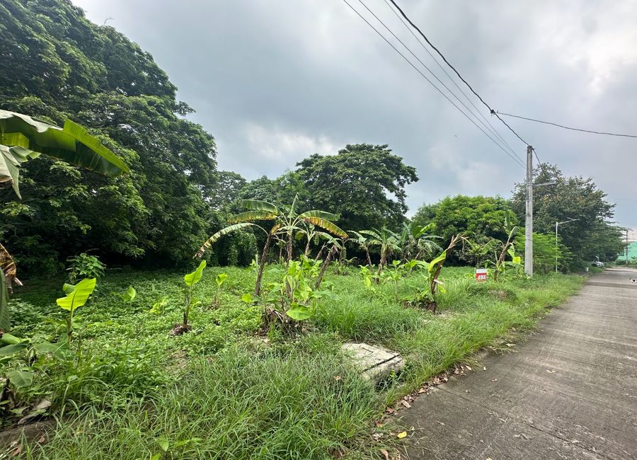 Aranjuez Street, Villa de Toledo, Santa Rosa, Laguna image 2