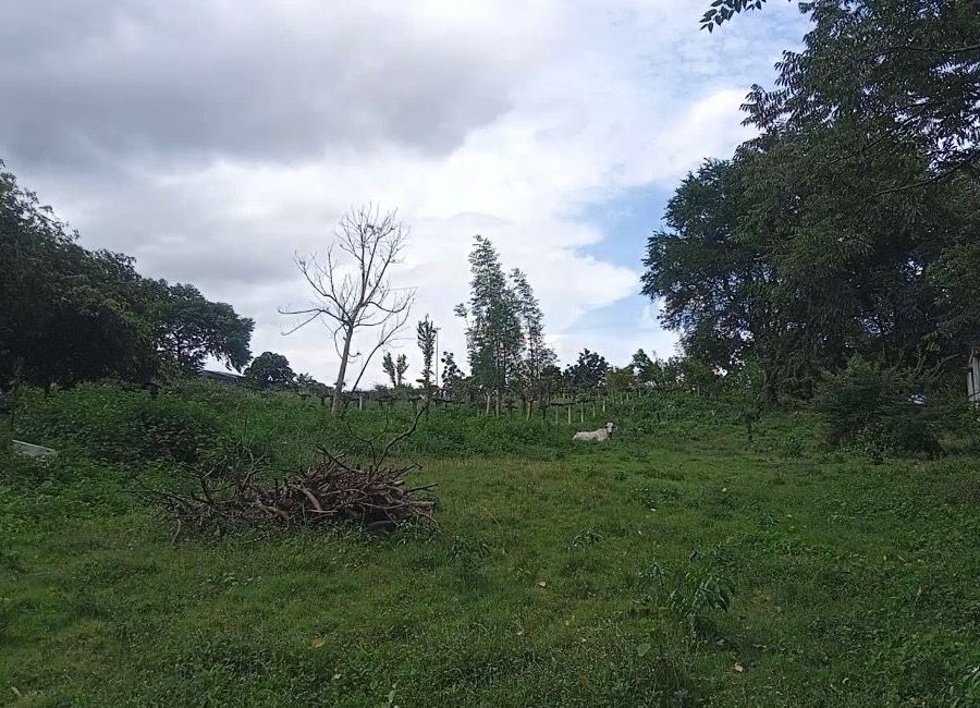 Gonzales, Tanauan, Batangas