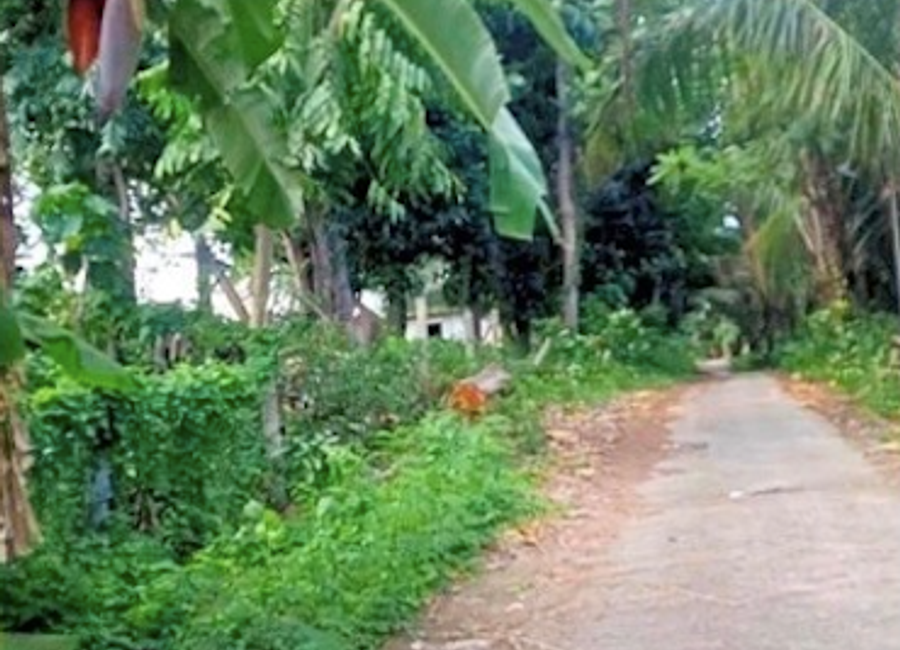 Gonzales, Tanauan, Batangas image 2