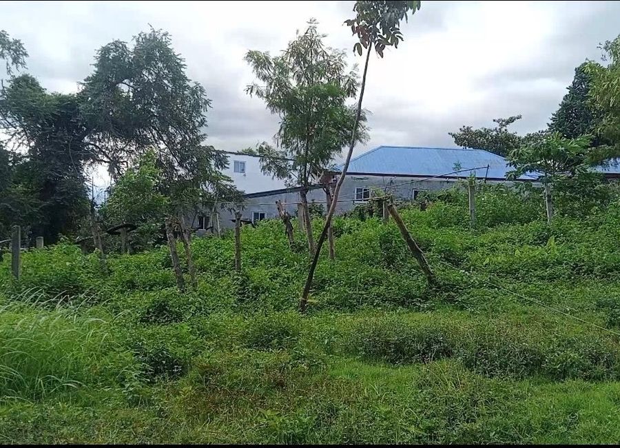 Gonzales, Tanauan, Batangas image 3