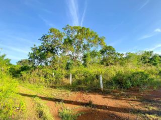 Lot For Sale | 527sqm. located at Libaong, Panglao Island, Bohol