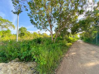 Lot For Sale| 610sqm. located at Libaong Panglao Island, Bohol
