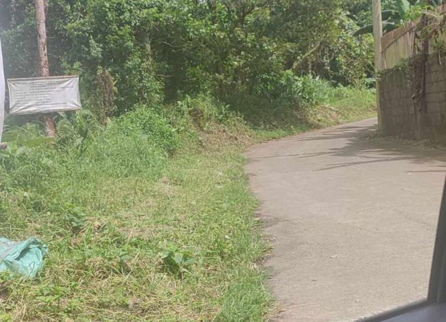 Miramonte, Tinamnan, Lucban, Quezon image 2