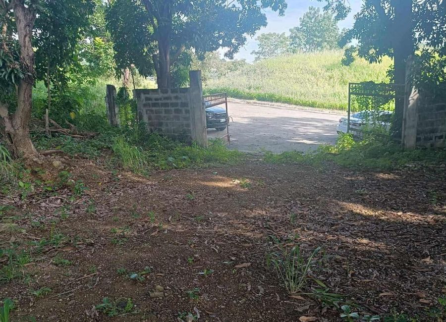 Parkridge Drive, Park Ridge, Santa Cruz, Antipolo, Rizal
