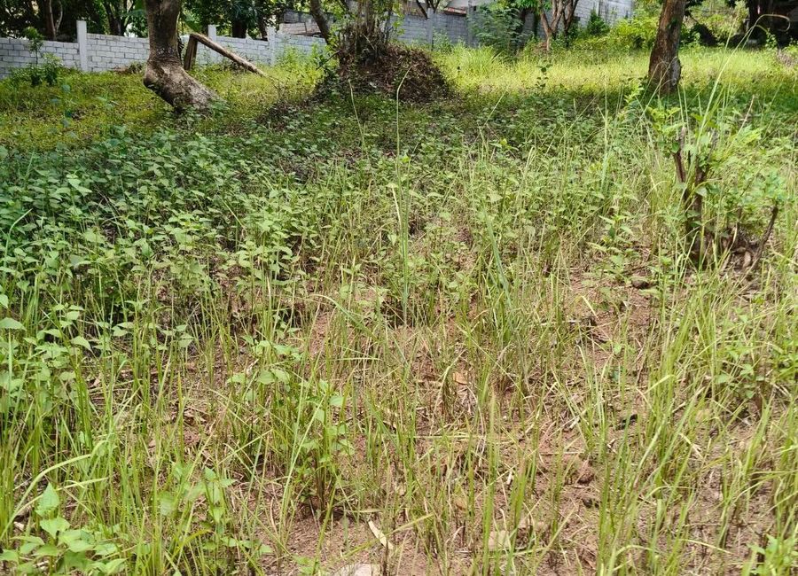 Yapak, Morong, Rizal