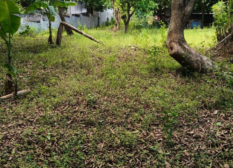 Yapak, Morong, Rizal image 2