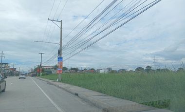 60,000 sqm lot for sale in apalit pampanga beside nlex