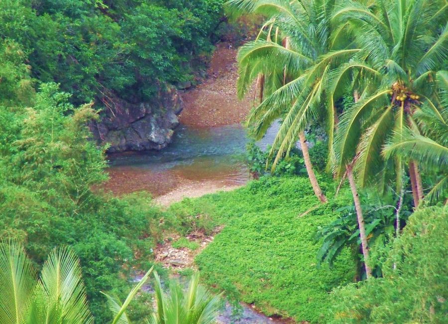 place photo 13