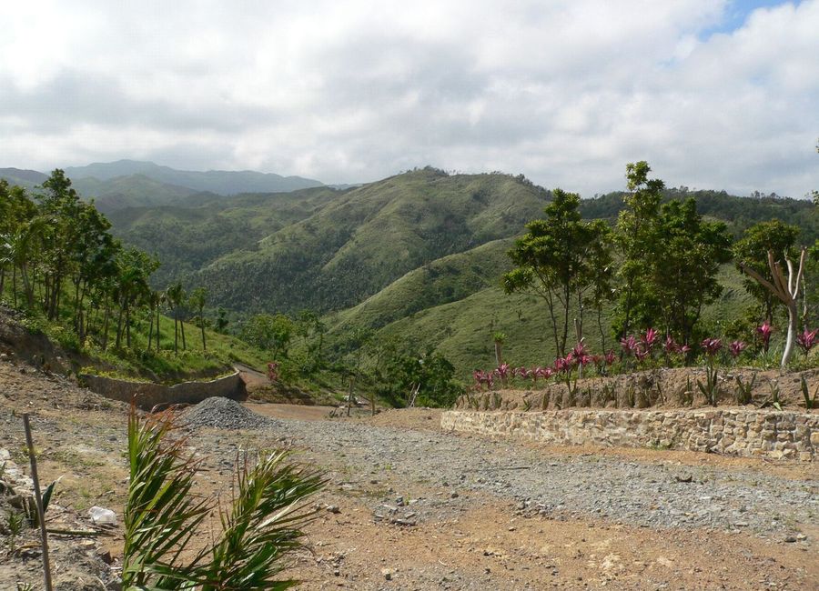 place photo 20