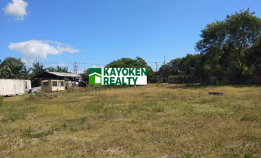 14,368 sqm Commercial/Industrial Lot for Sale - Taguig City