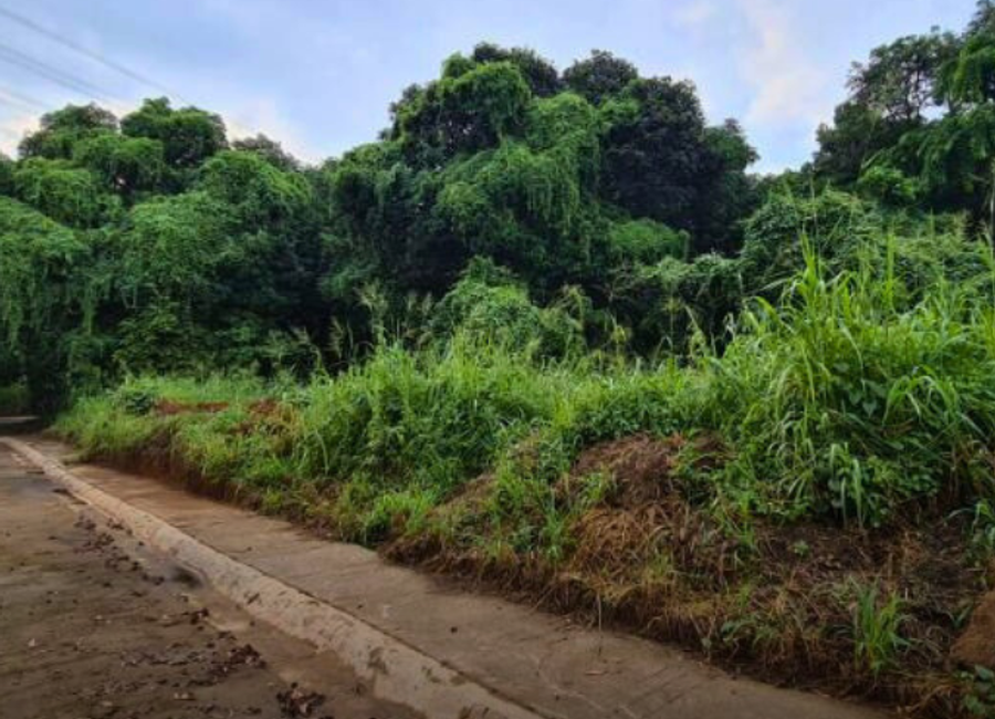 Parkridge Drive, Park Ridge, Santa Cruz, Antipolo, Rizal