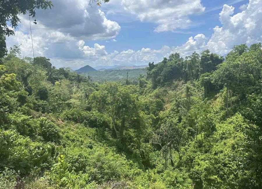 Mamimilit, Paliparan, Laurel, Batangas