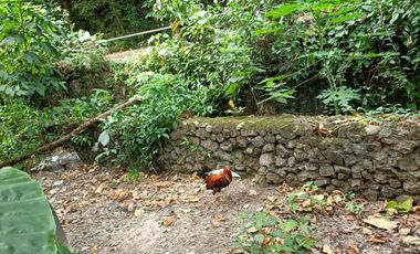 TALAMBAN RESIDENTIAL LOTS FOR SALE WITH RRW