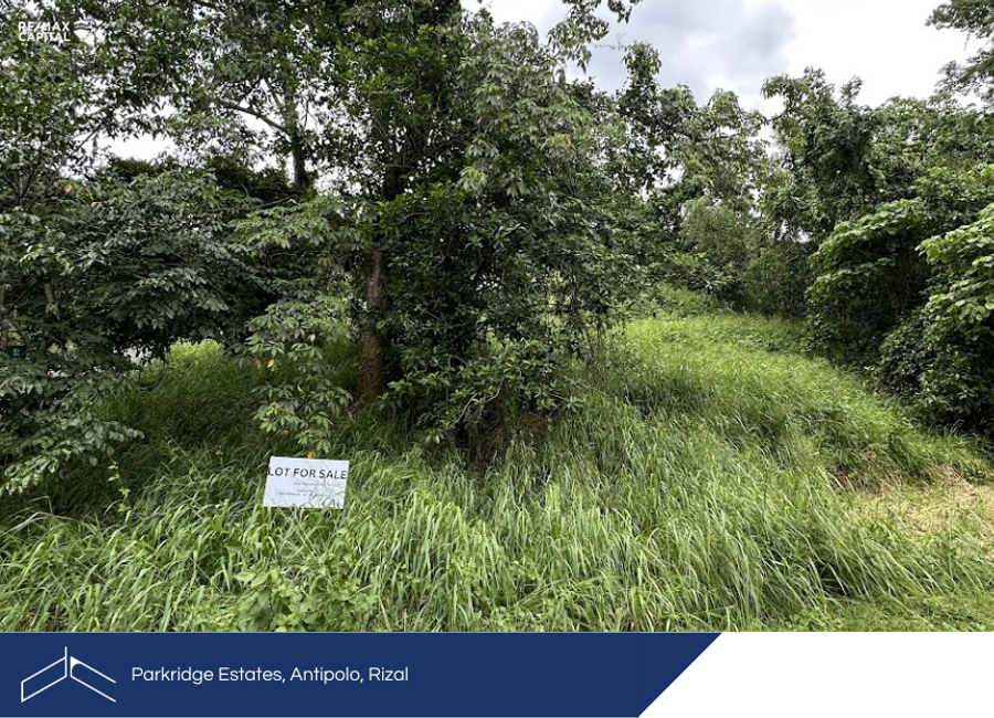 Parkridge Drive, Park Ridge, Santa Cruz, Antipolo, Rizal