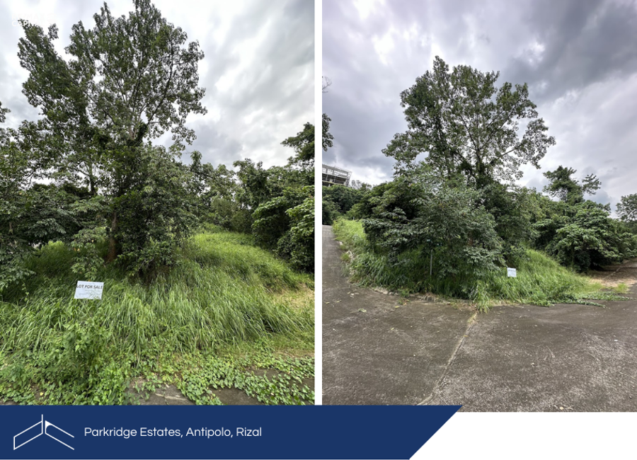 Parkridge Drive, Park Ridge, Santa Cruz, Antipolo, Rizal image 2