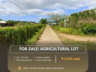 For Sale: Agricultural Lot located at Brgy. Payapa, Padre Garcia, Batangas